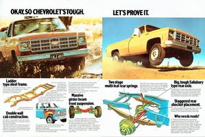 1977 Chevrolet Light Trucks (Aus)-06-07.jpg